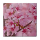 Search for cherry blossom tiles Sakura