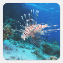 Search for saltwater stickers Wildlife
