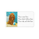 Search for apricot return address labels Pet
