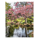 Search for duck posters Nature photography