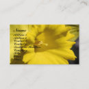 Search for daffodil business cards Yellow