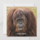Search for borneo cards Monkey