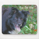 Search for collies electronics Black