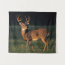 Search for rolf nussbaumer art Wild