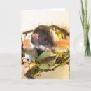 Search for ratties cards Pets