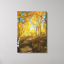Search for trail canvas prints Path