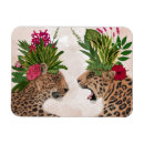 Search for cheetah cat magnets Jungle