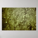 Search for dirtiness posters Water