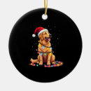 Search for golden retriever christmas decor Weimaraner