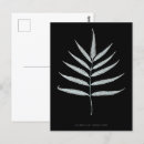 Search for x ray vertical postcards Black and white