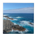 Search for sea tiles Portugal