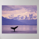 Search for inside passage art Sunset