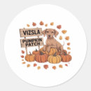 Search for vizsla stickers Autumn