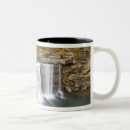 Search for cumberland falls Chuck haney