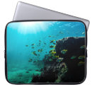 Search for diving photography Reef