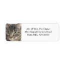 Search for close up labels Animal