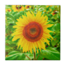 Search for summer sunflower tiles Yellow