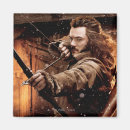 Search for bard magnets Desolation of smaug