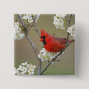 Search for habitat square badges Animal