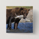 Search for grizzly badges Wildlife