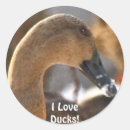 Search for birdlover stickers Birdlife
