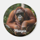 Search for borneo kitchen dining Animal
