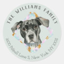 Search for bull dog return address labels Pitbull