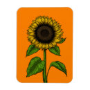 Search for vector illustration magnets Floral