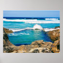 Search for surfing posters Turquoise