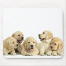 Search for piles mouse mats Cute