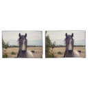 Search for pony pillowcases Animal