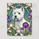 Search for westies postcards Dogs