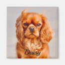 Search for friend dog magnets Animal lover