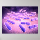 Search for pathogen posters Medical
