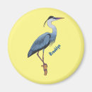 Search for blue heron magnets Ardea herodias