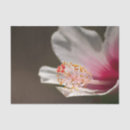 Search for hawaiian flowers tissue paper Nature