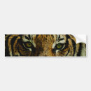 Search for wild animal bumper stickers Tigers