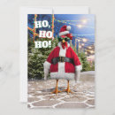 Search for funny chicken invitations Cute animal
