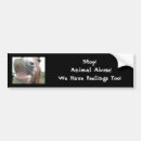 Search for abusers bumper stickers Cruelty