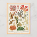 Search for aquatic postcards Vintage
