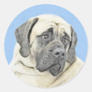 Search for english mastiff stickers Fawn
