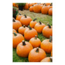 Search for vegetable posters Colour image