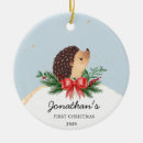 Search for hedgehog christmas tree decorations Watercolor