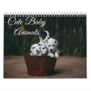 Search for cute animal calendars Adorable animals