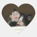 Search for hi there stickers Kittens