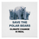 Search for global warming polar bear art Environment