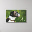 Search for boxer dog canvas prints Profile
