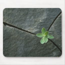 Search for boulder mouse mats Nobody