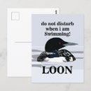 Search for common loons postcards Wildlife