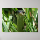Search for garters posters Snake